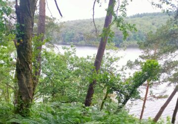 Image Randonnée autour du lac de Guerlédan : la nature n’est pas une poubelle !