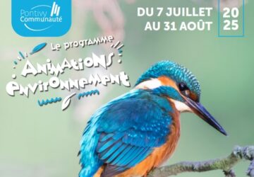 Image Animations d’été avec Pontivy Communauté