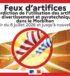 Image FEUX D&rsquo;ARTIFICE INTERDITS